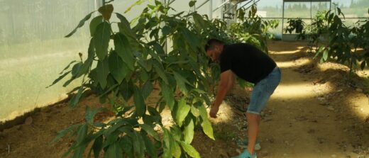 Pourquoi l&#8217;Agriculture Biologique est-elle Essentielle pour un Avenir Durable ?